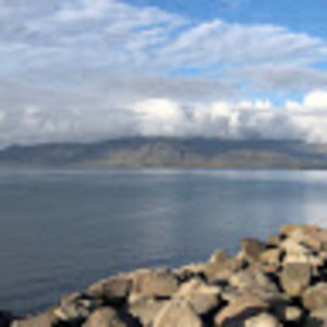 Meet your Posher, Edina